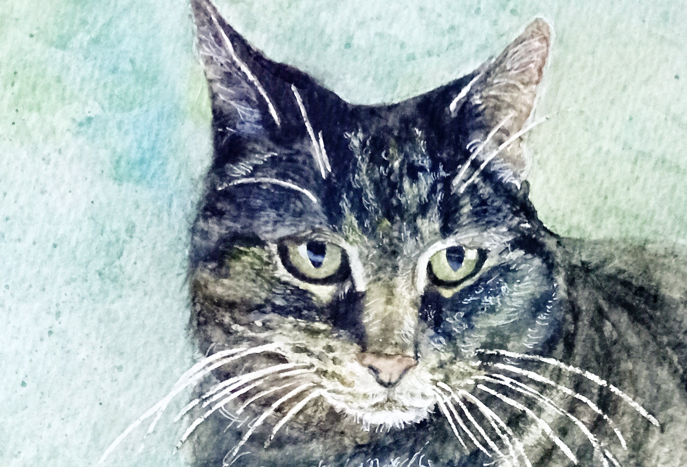 An original hand-painted watercolor artwork of a gray tabby cat named Josie, a soulful pet memorial portrait capturing her expressive eyes and delicate fur by artist Silvana Varriale.