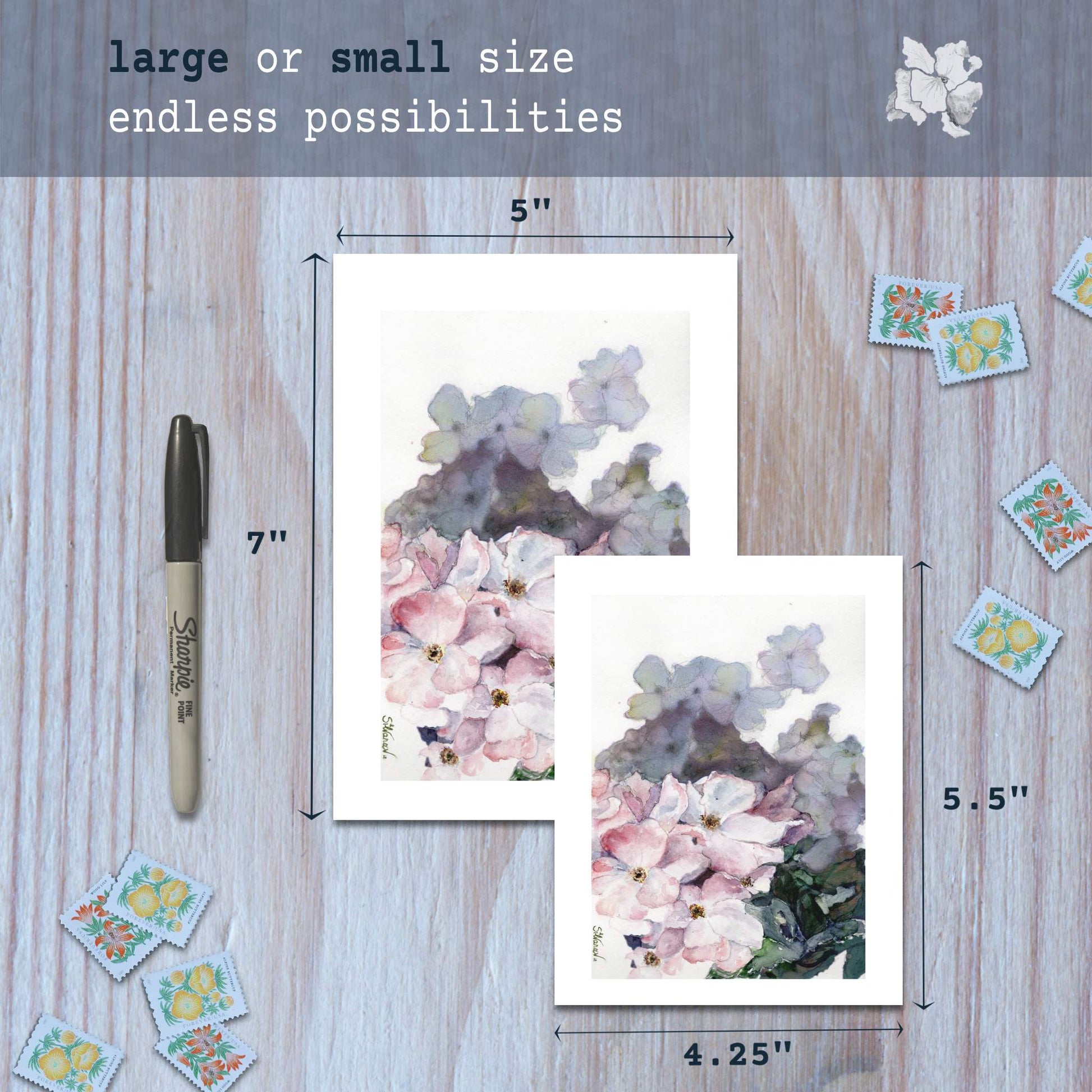Wild rose watercolor greeting cards in small and large sizes with marker for scale.